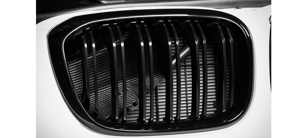 EVENTURI Système d'admission en carbone BMW F9X X3M/X4M