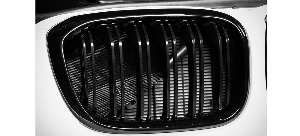 EVENTURI Carbon Fiber Intake System for BMW F9X X3M/X4M